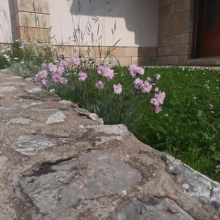 Tara Malesevic - 3 Lux Sljivovica (Zlatibor)